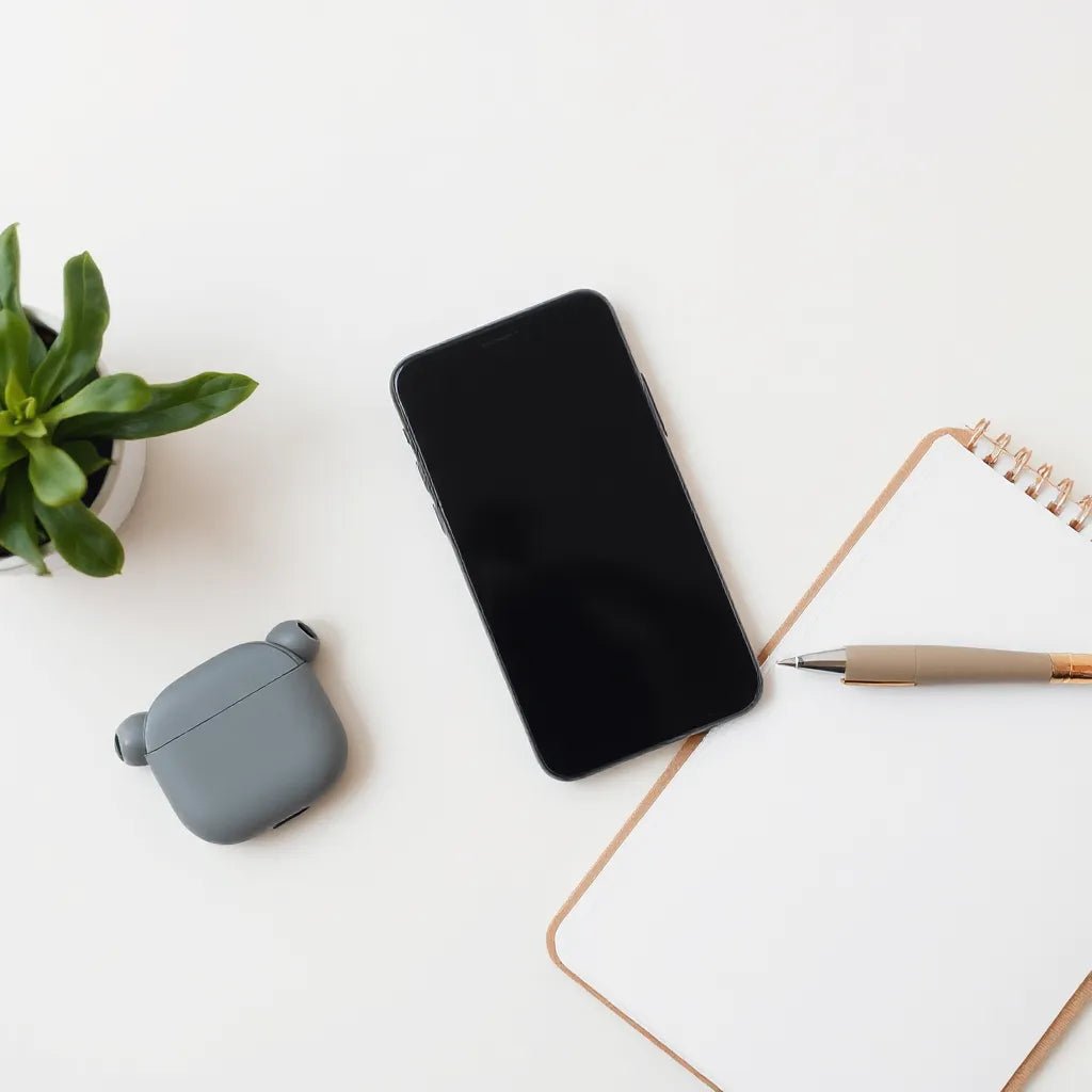 RayHunter Buy Checklist for Safer Private Browsing - Security & Privacy Tools | STS Collective