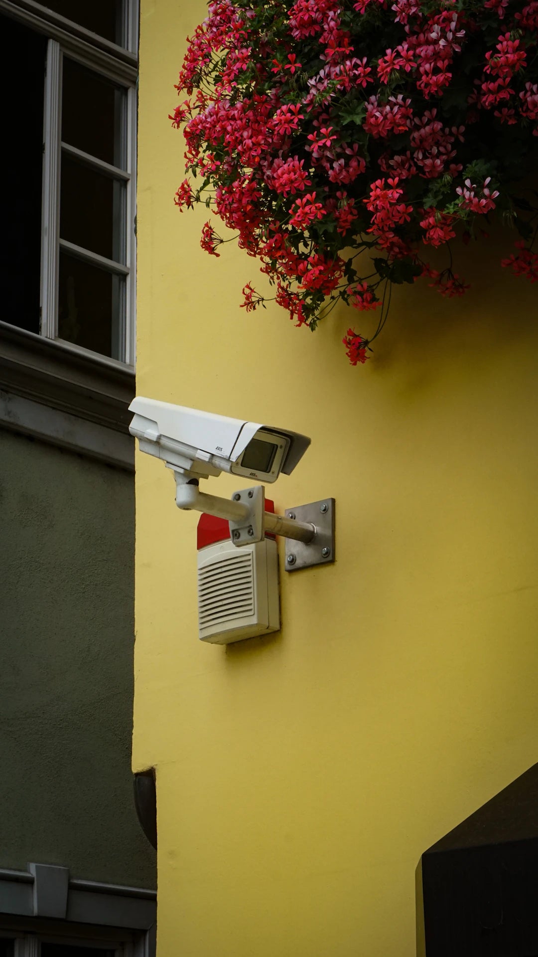 Stylish Cybersecurity Gadgets for Everyday Use - Security & Privacy Tools | STS Collective