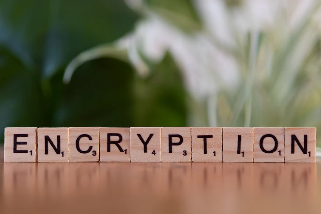The Power of Encryption: Safeguarding Your Data Today - Security & Privacy Tools | STS Collective