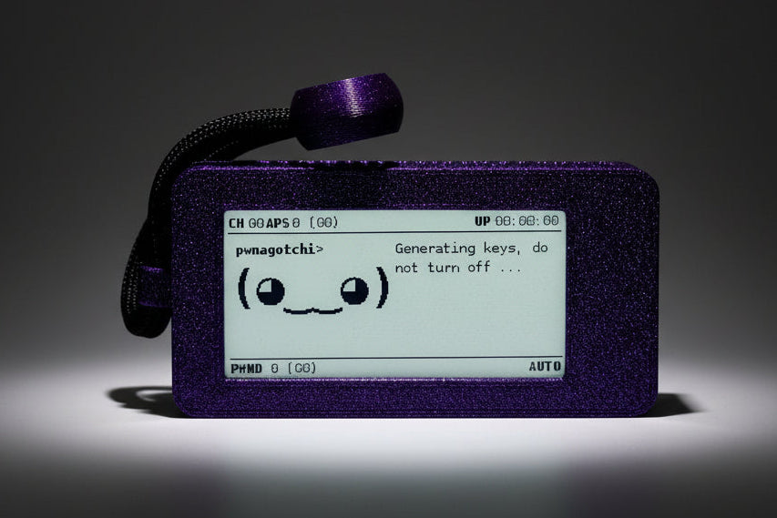 Pwnagotchi - Hacker Tool pwnagotchi