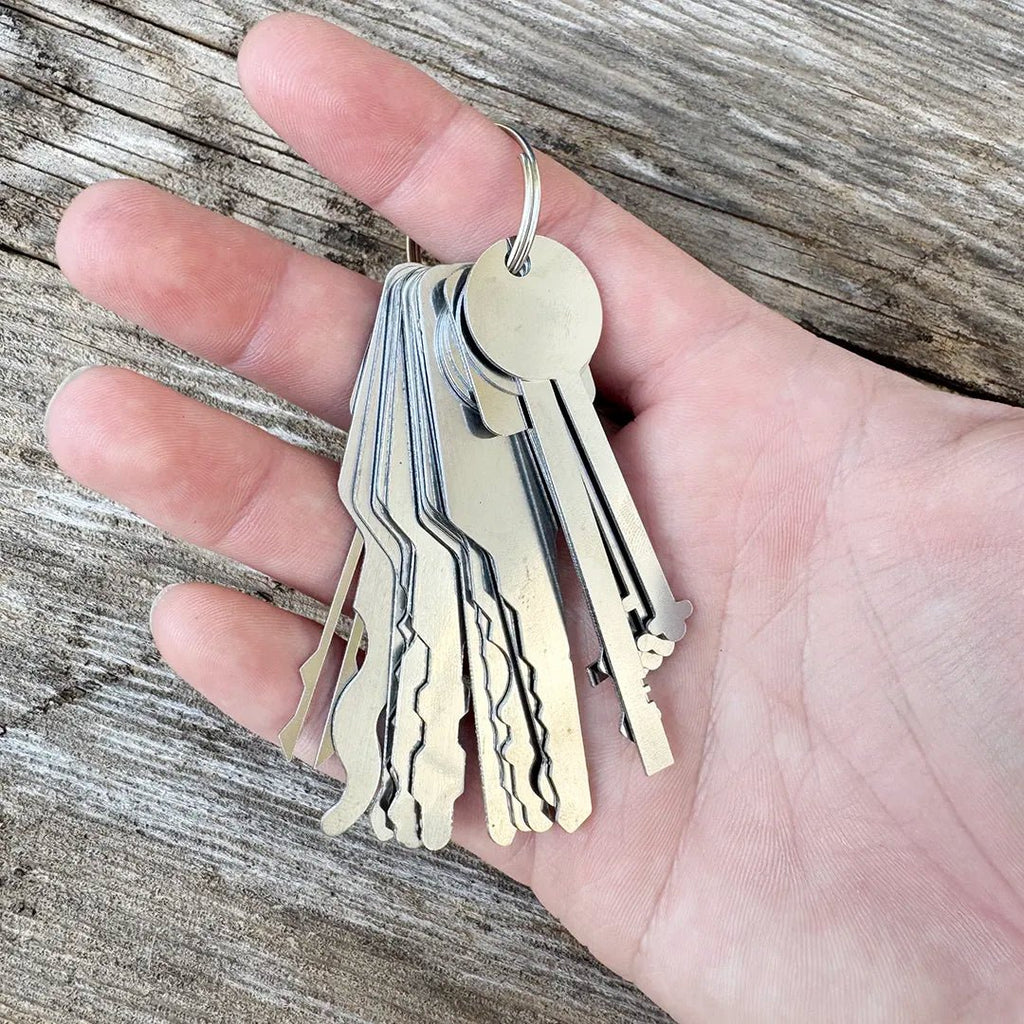18 - Piece Warded & Jiggler Pick Set - Security & Privacy Tools | STS Collective