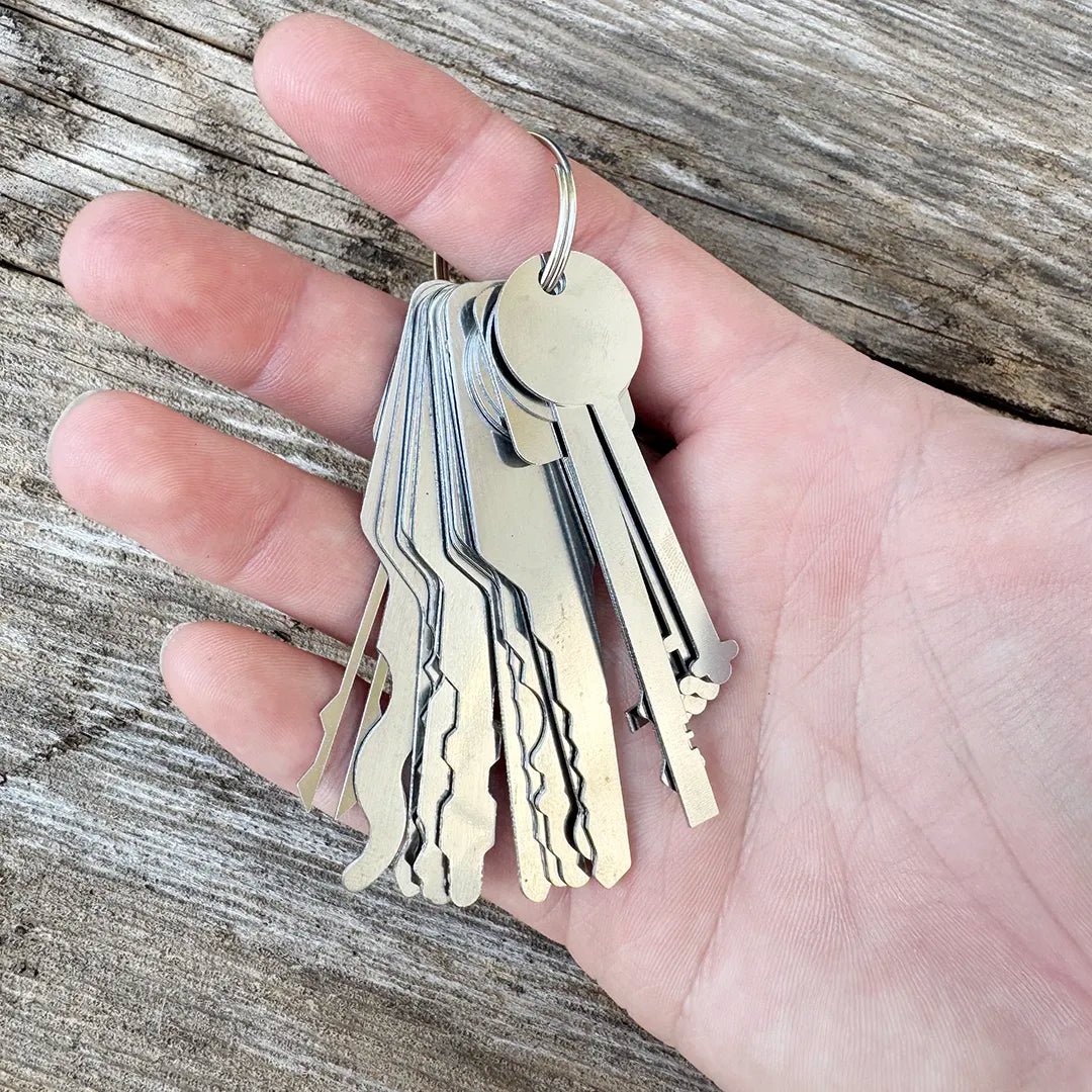 18 - Piece Warded & Jiggler Pick Set - Security & Privacy Tools | STS Collective