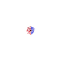 Cyber Shield Identity Bubble - Free Sticker - STS Technologies LLC