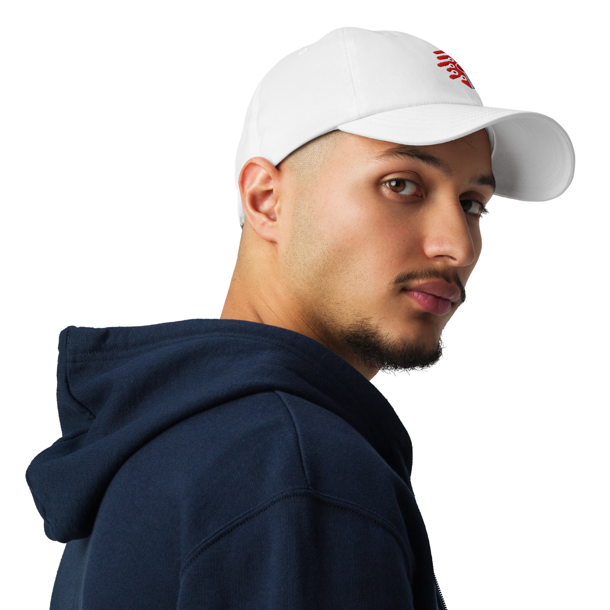 Cyber Shield Identity Performance Dad Hat by Under Armour - STS Technologies LLC