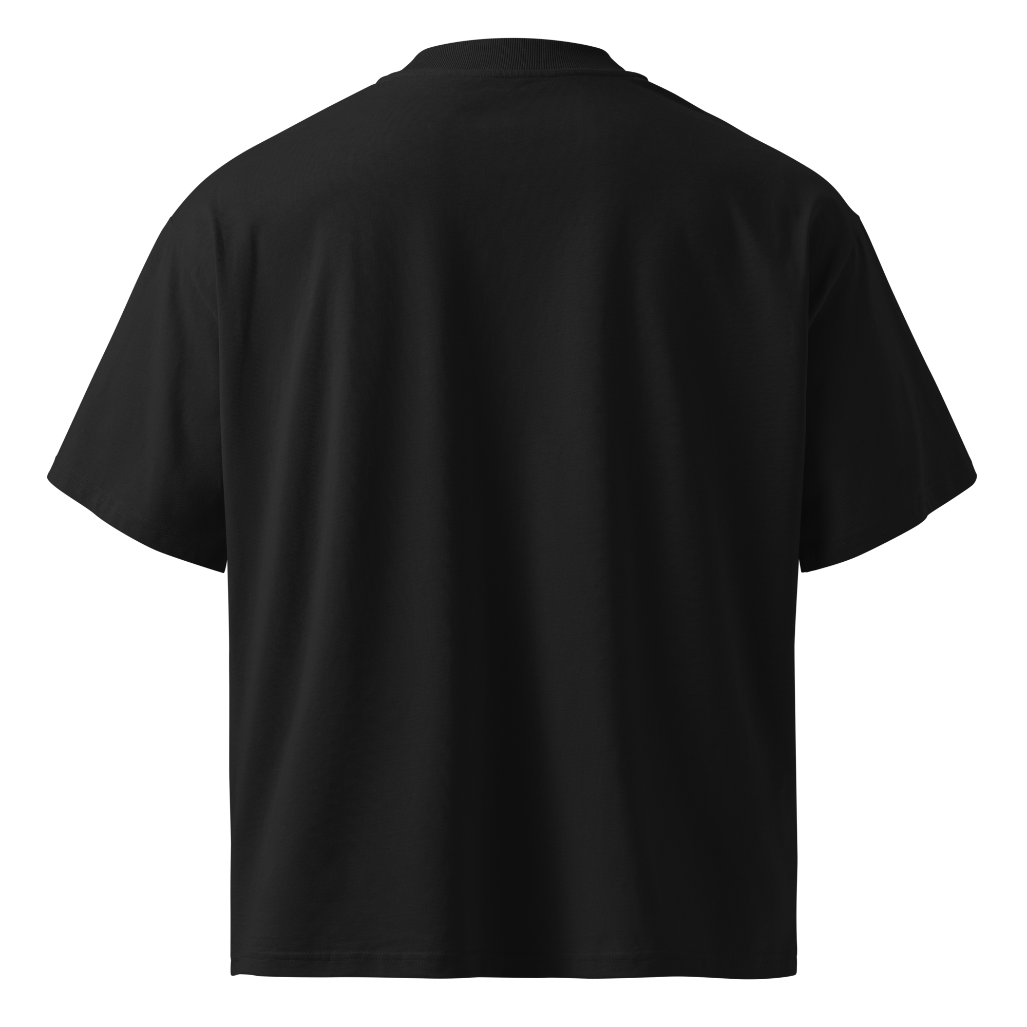 Hack The Planet – Oversized Organic High - Neck T-Shirt - STS Technologies LLC