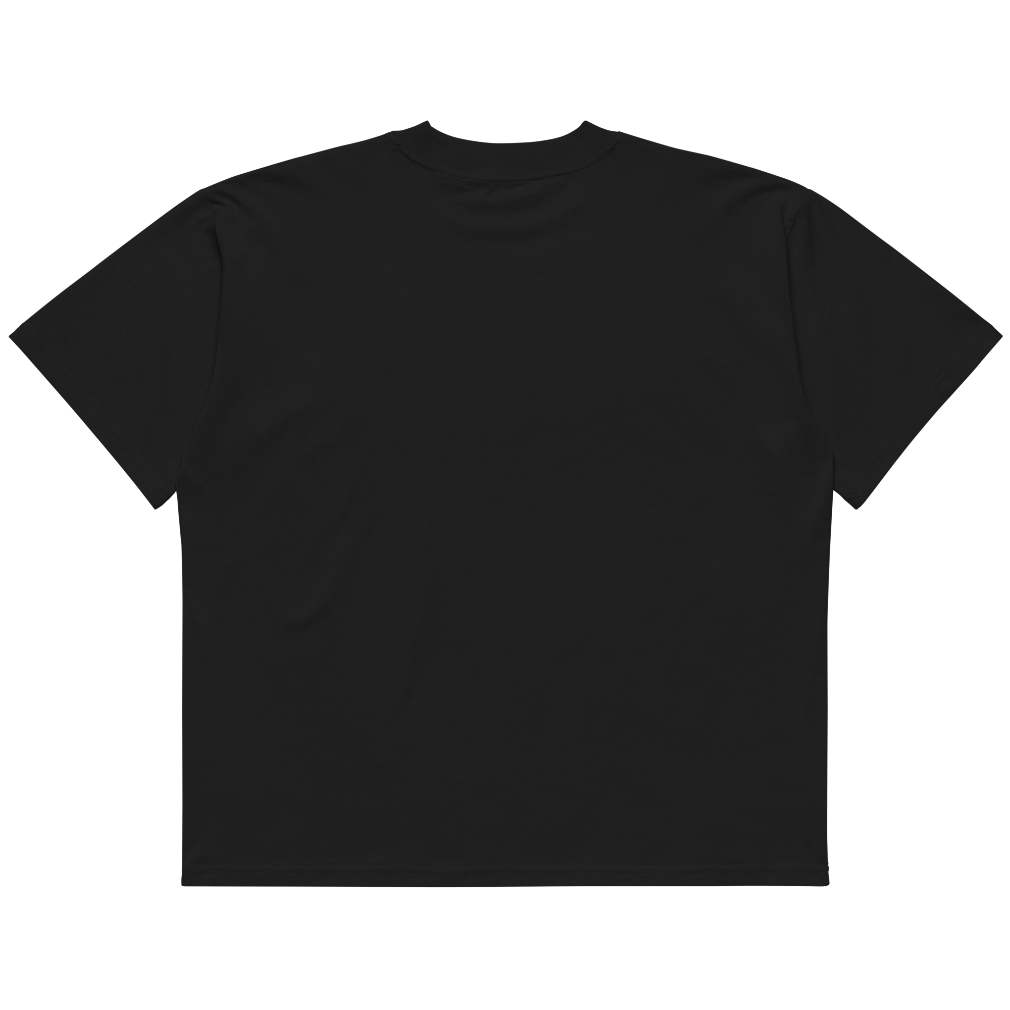 STS “Stay Hidden Stay Secure” Cybersecurity Oversized Organic High - Neck T-Shirt - Security & Privacy Tools | STS Collective