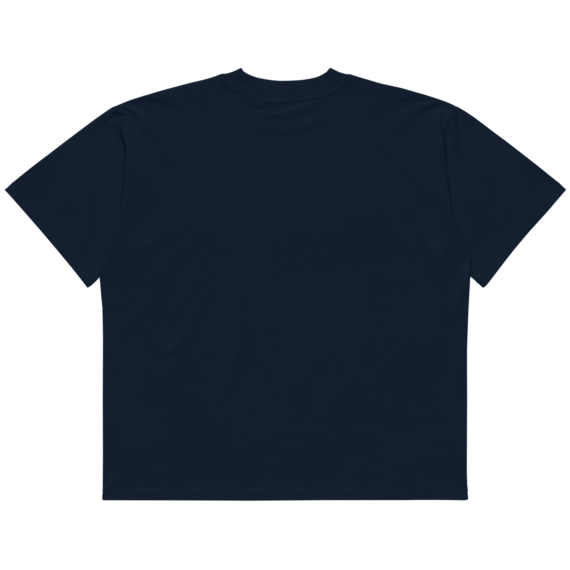 STS “Stay Hidden Stay Secure” Cybersecurity Oversized Organic High - Neck T-Shirt - Security & Privacy Tools | STS Collective