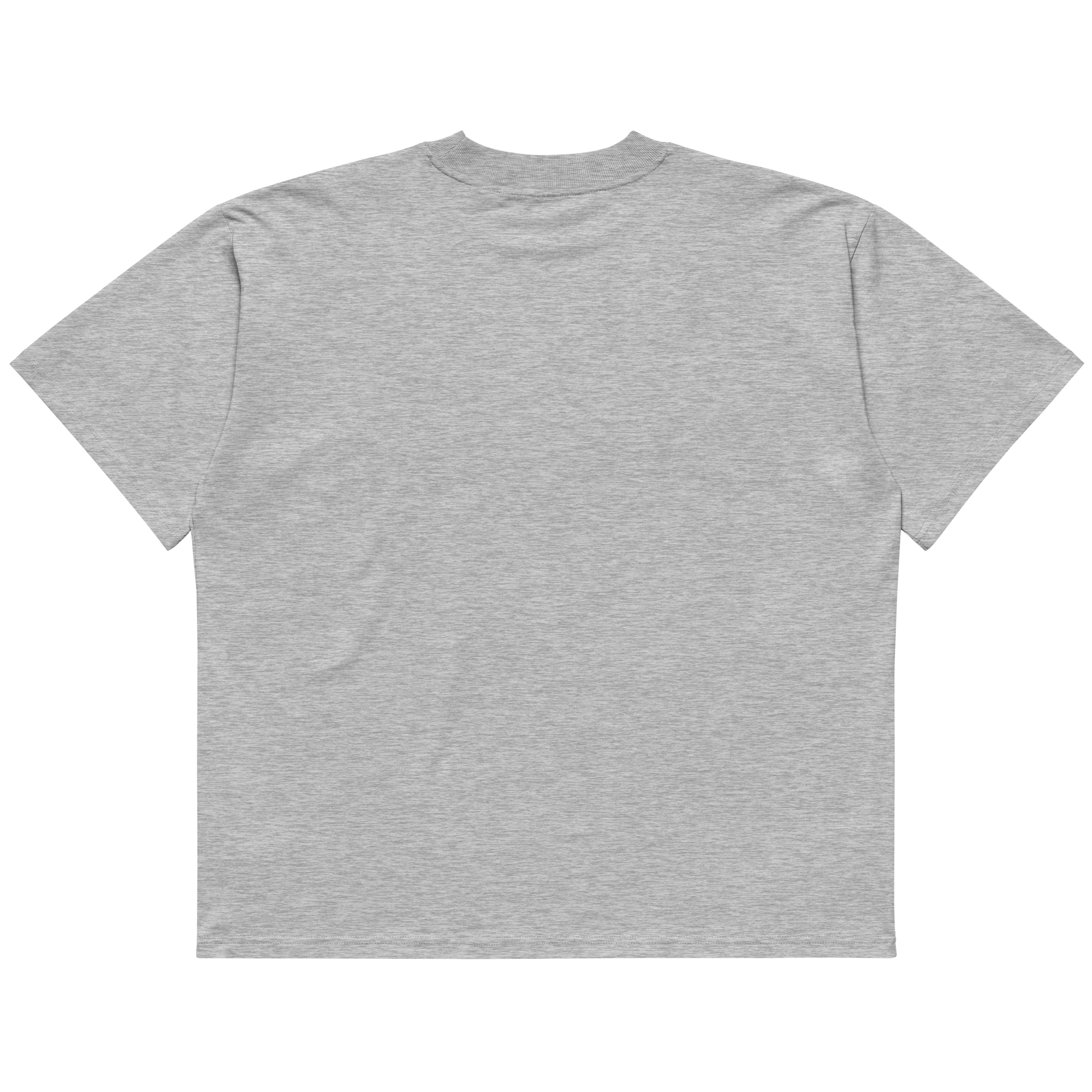 STS “Stay Hidden Stay Secure” Cybersecurity Oversized Organic High - Neck T-Shirt - Security & Privacy Tools | STS Collective