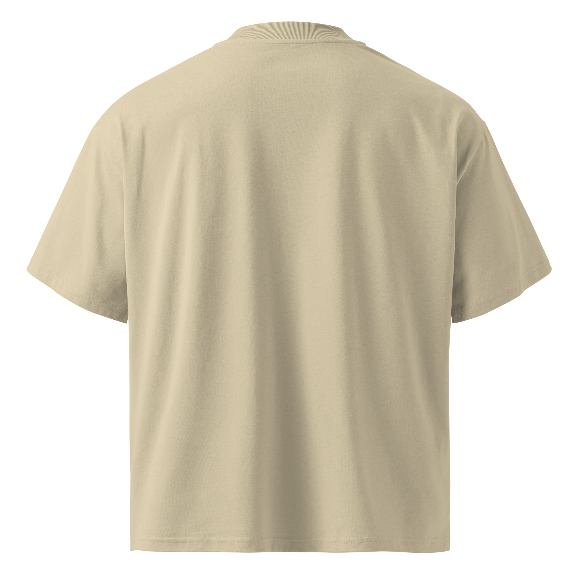 Ghost Mode: Enabled – Oversized Organic High - Neck T-Shirt - STS Technologies LLC