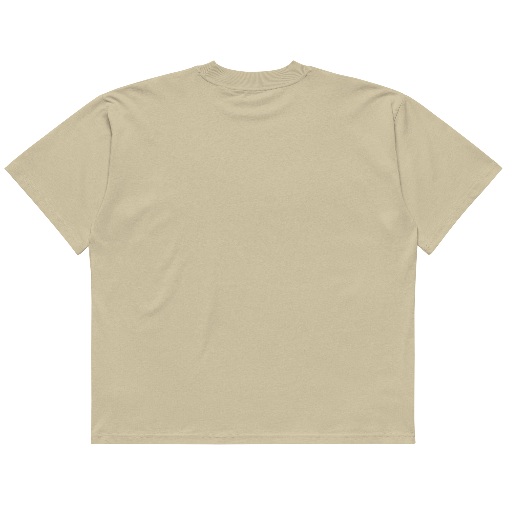 STS “Stay Hidden Stay Secure” Cybersecurity Oversized Organic High - Neck T-Shirt - Security & Privacy Tools | STS Collective