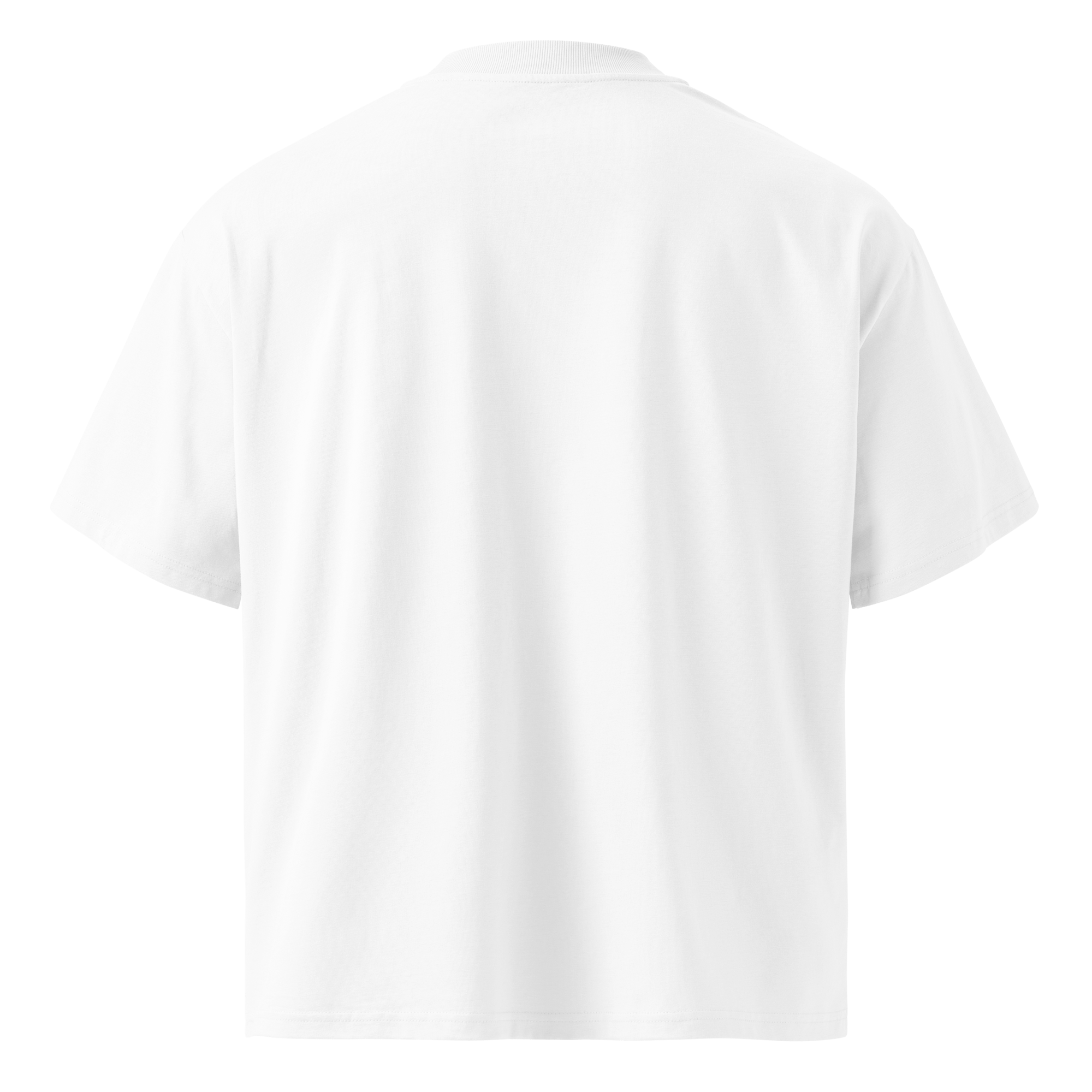 Hack The Planet – Oversized Organic High - Neck T-Shirt - STS Technologies LLC