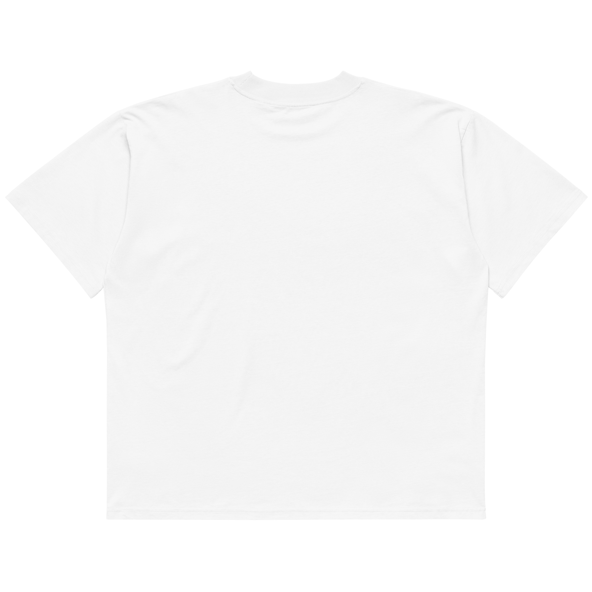 STS “Stay Hidden Stay Secure” Cybersecurity Oversized Organic High - Neck T-Shirt - Security & Privacy Tools | STS Collective